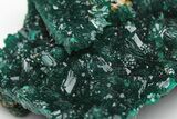 Gemmy Dioptase Crystal Cluster - N'tola Mine, Congo #209336-2